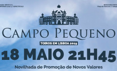 A Hora dos Novos